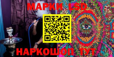 шишки Лесосибирск