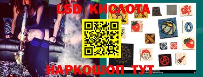шишки Лесосибирск