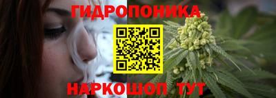 шишки Лесосибирск