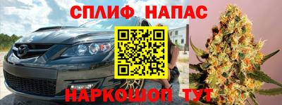 шишки Лесосибирск
