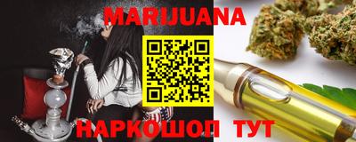 шишки Лесосибирск