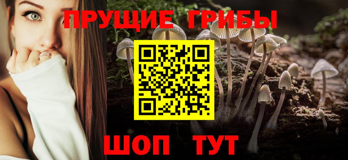 Псилоцибиновые грибы мухоморы Елец