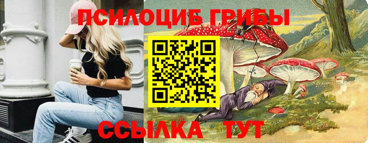 Елец  Галлюциногенные грибы Psilocybine cubensis  что такое наркотик  Вход с VPN 