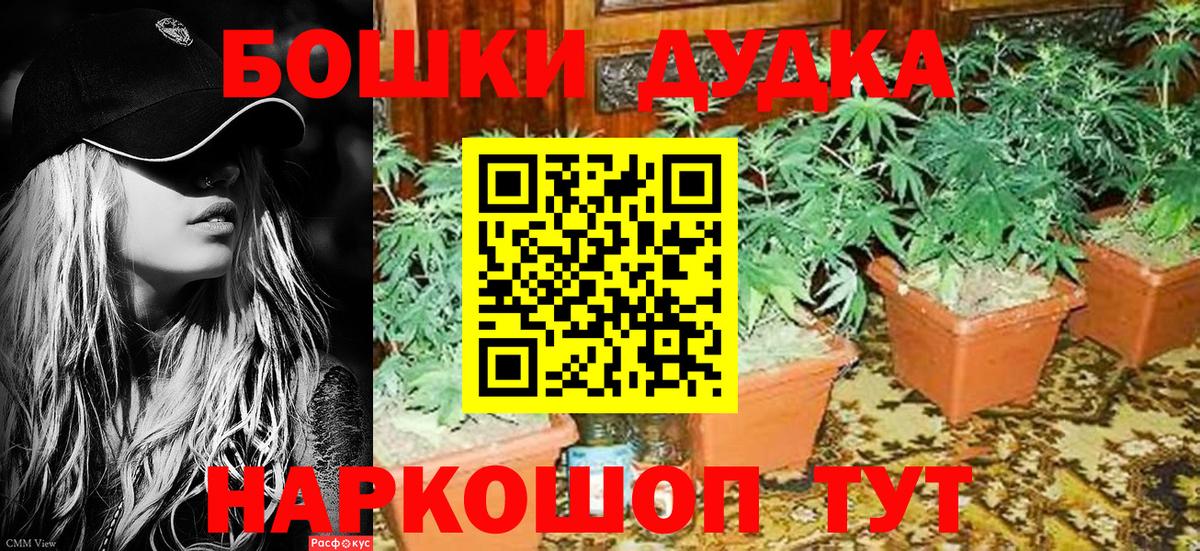 Шишки марихуана SATIVA & INDICA Елец